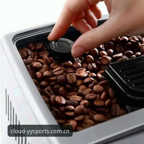揭秘YYSPORTS正版哪个好：实战派测评v2.1.0版本背后的真实体验